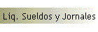Liq. Sueldos y Jornales